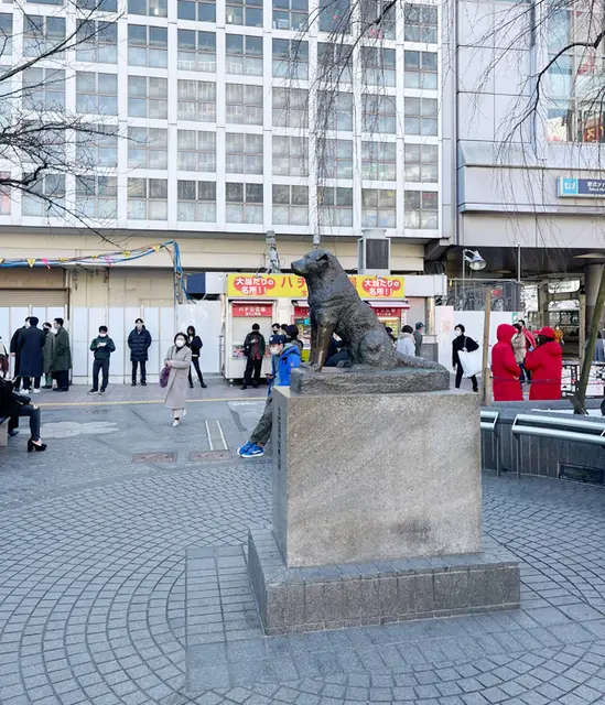 バランガン 渋谷店への道順