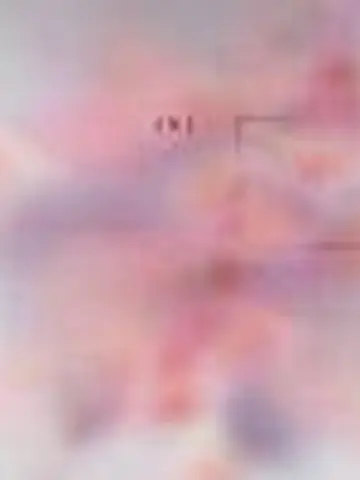 笑う水先生(ココナラ電話占いの占い師)の写真