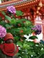 霊導師 天明先生の写真