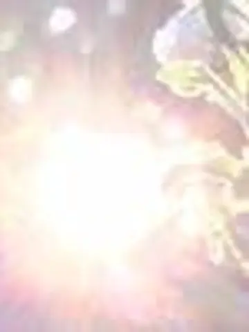 アフロディーテK先生（ココナラ電話占いの占い師）の写真