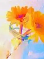 『あなたの未来✨明るく⭐』花音(かおり)先生の写真