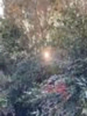 桐生晶先生（ココナラ電話占いの占い師）の写真