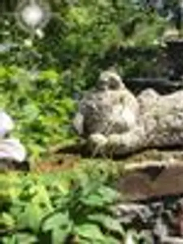 花のしずく先生（ココナラ電話占いの占い師）の写真