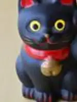 高次元鑑定先生の写真