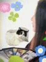 HIMARAYA先生の写真