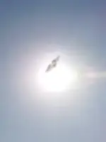 ☀はれのはるiec∞◉先生の写真