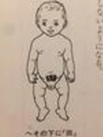 神乃子先生（ココナラ電話占いの占い師）の写真