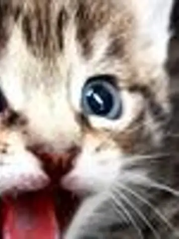 ルルハ先生（ココナラ電話占いの占い師）の写真