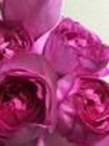 Aromacardleading先生(ココナラ電話占いの占い師)の写真