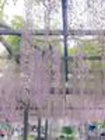 Uゆう先生(ココナラ電話占いの占い師)の写真