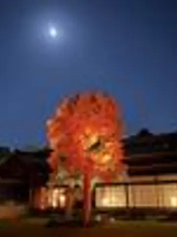 ほしの囁き先生（ココナラ電話占いの占い師）の写真
