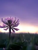 波留止先生の写真