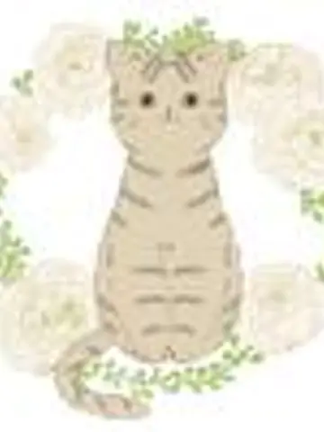 ameri。̊✩先生（ココナラ電話占いの占い師）の写真