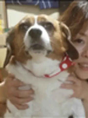なっちゃん☆彡先生(ココナラ電話占いの占い師)の写真