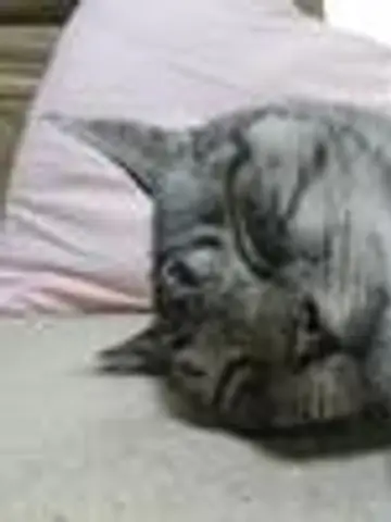 ユペッチ(YouTube二の宮占い堂)先生（ココナラ電話占いの占い師）の写真