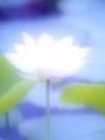 スピリチュアルカウンセラー鞠花先生(ココナラ電話占いの占い師)の写真