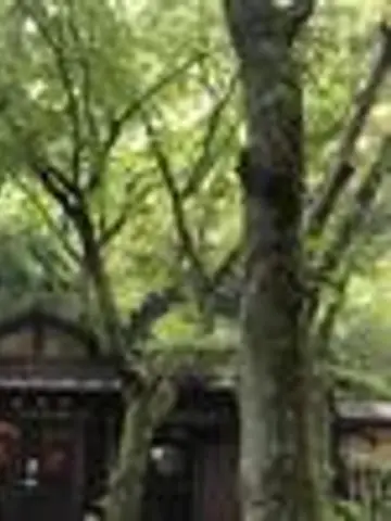 占術師正宗先生(ココナラ電話占いの占い師)の写真