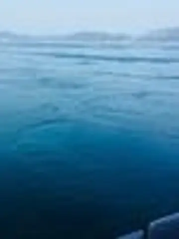 柚子葉happiness先生(ココナラ電話占いの占い師)の写真
