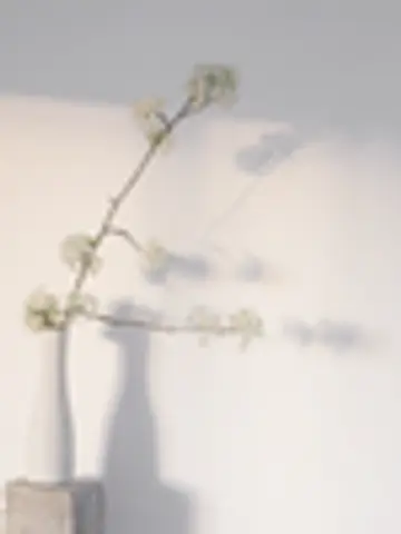 kanau⭐先生（ココナラ電話占いの占い師）の写真