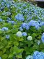 yutizu0227先生の写真