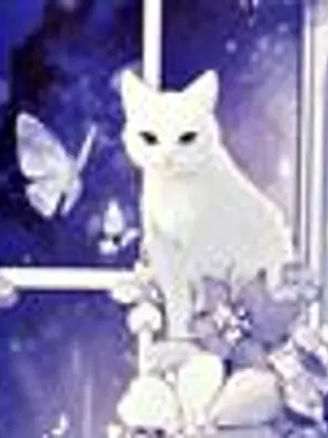 静月昴先生（ココナラ電話占いの占い師）の写真