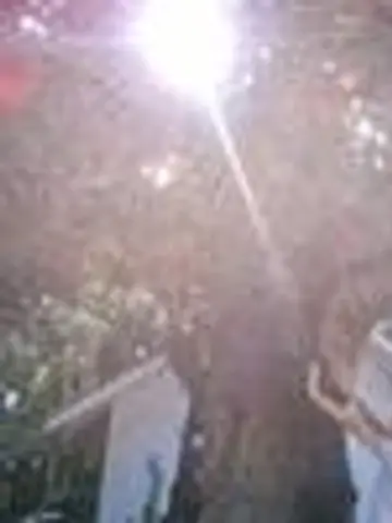鑑定歴20年以上:占術師Rico先生(ココナラ電話占いの占い師)の写真