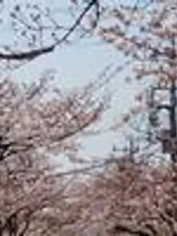 夢☆案内人先生（ココナラ電話占いの占い師）の写真