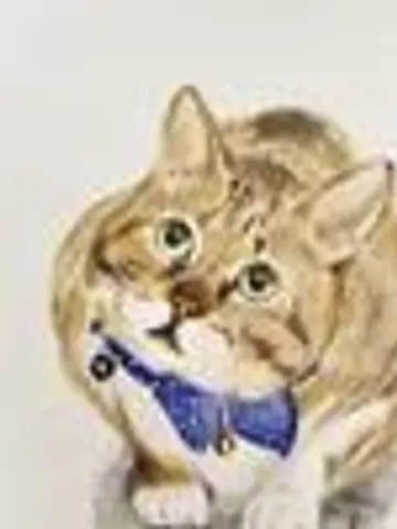 めめねこ先生（ココナラ電話占いの占い師）の写真