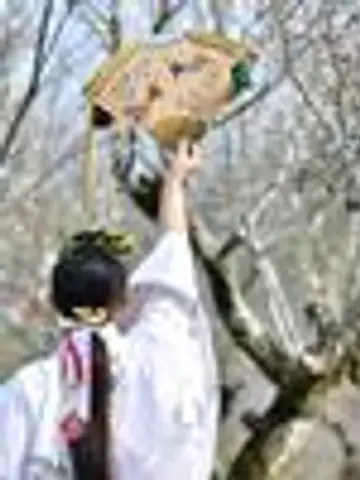 アンカールームあん子先生(ココナラ電話占いの占い師)の写真