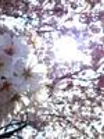 Meditrina先生(ココナラ電話占いの占い師)の写真