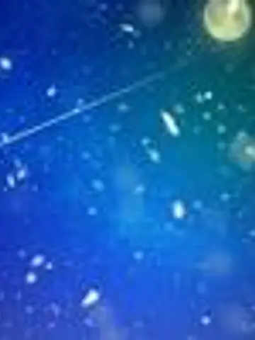 りこ❁星読みタロット先生（ココナラ電話占いの占い師）の写真