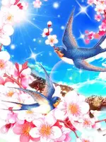 心桜先生の写真