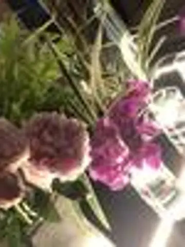 泉川すず花先生（ココナラ電話占いの占い師）の写真