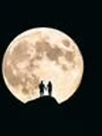 皆月小夜子先生（ココナラ電話占いの占い師）の写真