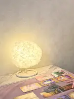 白夕先生の写真