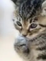うる。先生の写真