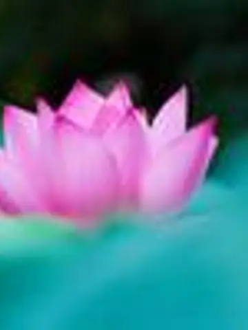 ラム先生(ココナラ電話占いの占い師)の写真