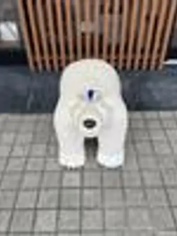 shirokuma06先生(ココナラ電話占いの占い師)の写真