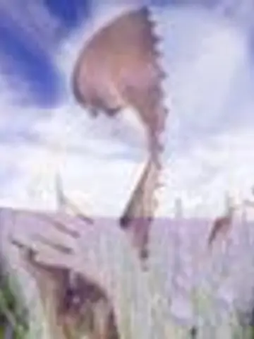 みたま読み先生（ココナラ電話占いの占い師）の写真