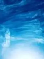 白い風coco先生の写真