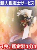 アクア先生の写真