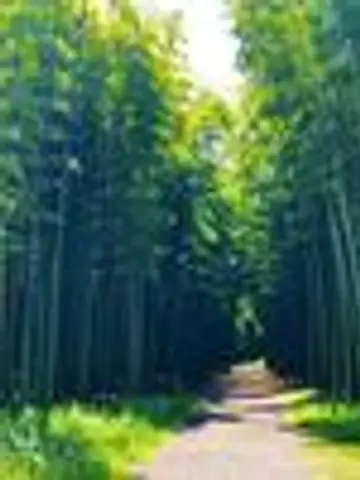 沙和先生（ココナラ電話占いの占い師）の写真