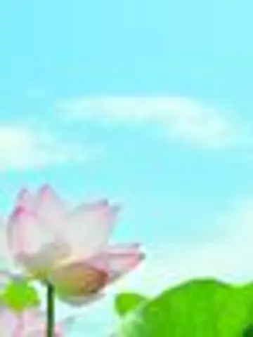 零花《REIKA》先生(ココナラ電話占いの占い師)の写真