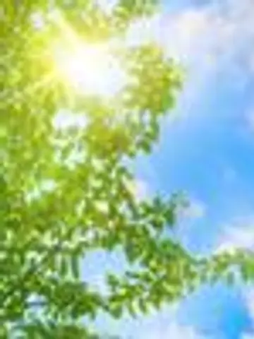 harmonyforest先生(ココナラ電話占いの占い師)の写真