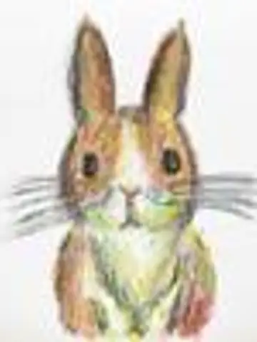 ヒカル*ミラクルタロット先生(ココナラ電話占いの占い師)の写真