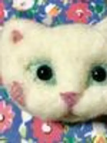 Mikanyanko(みかにゃんこ)先生(ココナラ電話占いの占い師)の写真