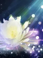 涼花先生の写真