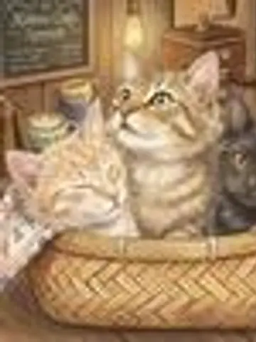 KittenCafe3先生(ココナラ電話占いの占い師)の写真