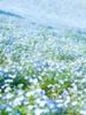 萌結めい先生(ココナラ電話占いの占い師)の写真