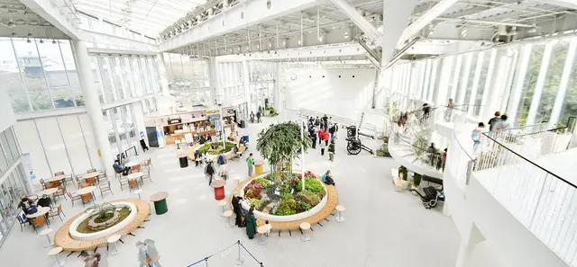 五稜郭タワーのコンピュータ手相占いの店内